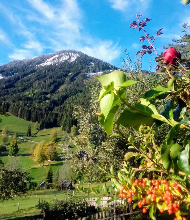 Pension Stammerhof Шладминг Экстерьер фото