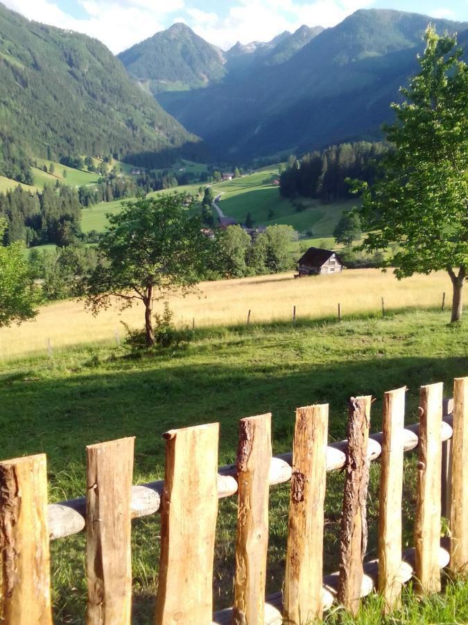 Pension Stammerhof Шладминг Экстерьер фото
