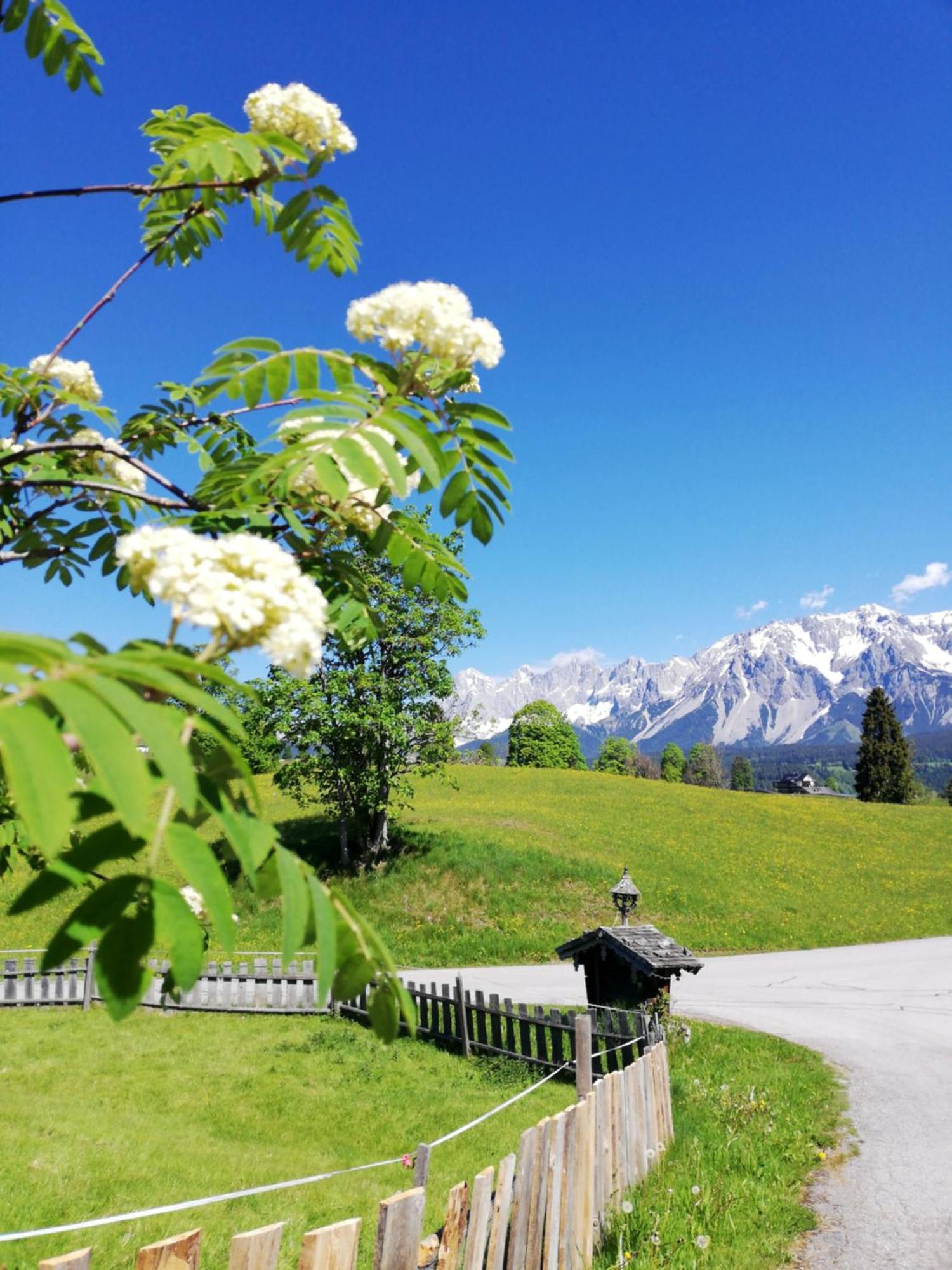 Pension Stammerhof Шладминг Экстерьер фото