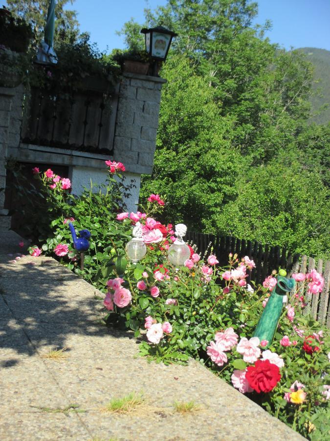 Pension Stammerhof Шладминг Экстерьер фото